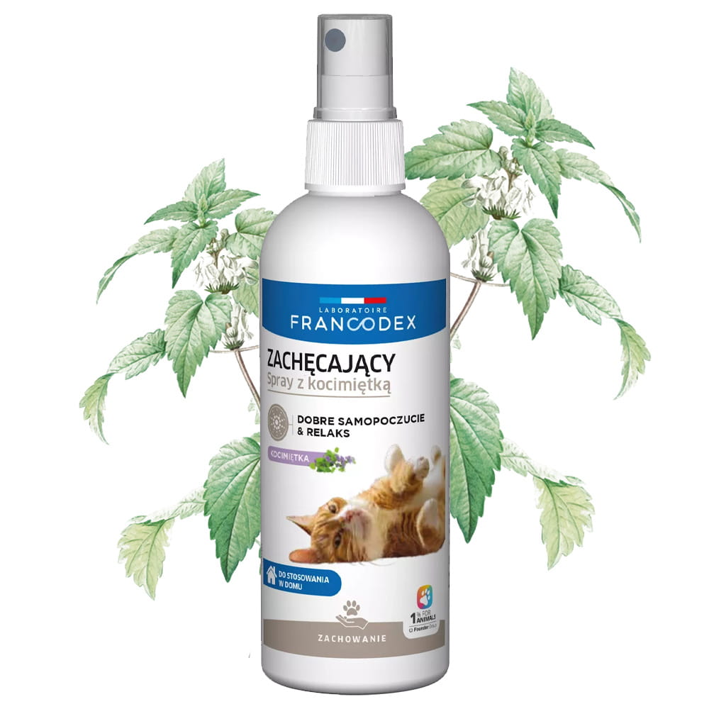 Francodex Spray Zachęcający Dla Kociąt i Kotów 200ml